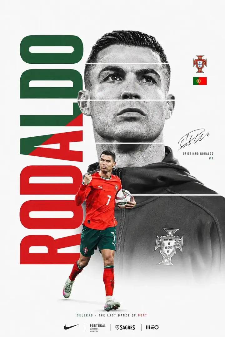 FIFA World Cup Minimalist Poster Vikas edit example